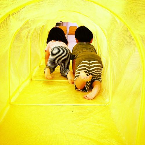 写真 (55) 写真 (55)